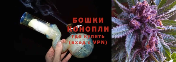 ешки Алзамай