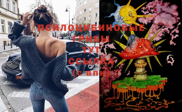 а пвп мука Абаза